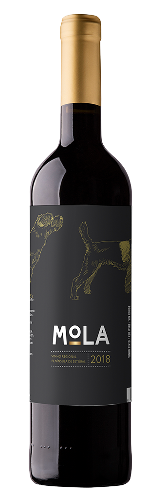 Mola tinto 2017 Rotwein aus Setubal