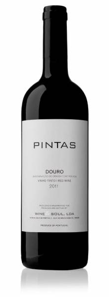 Wine and Soul Pintas 2016 Rotwein