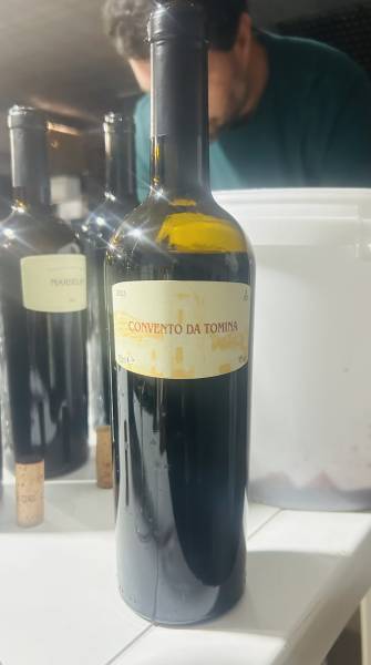 Xico Garcia Convento da Tomina 2024