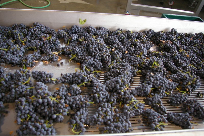 Portugiesische Weine