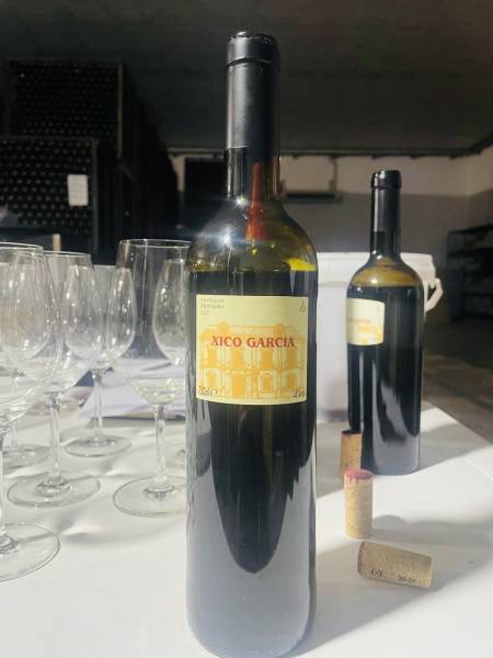 Xico Garcia tinto 2024