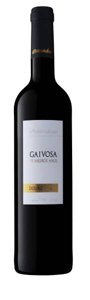 Alves de Sousa Gaivosa Primeira Anos 2021